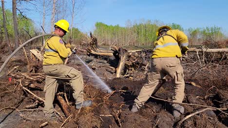 Wildland-Firefighters-Spraying-Water-at-Burning-Tree-Roots