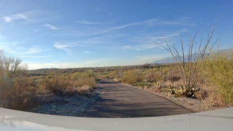 Standpunkt---Fahren-Auf-Einer-Parkstraße-Im-Saguaro-Nationalpark-In-Der-Sonora-Wüste