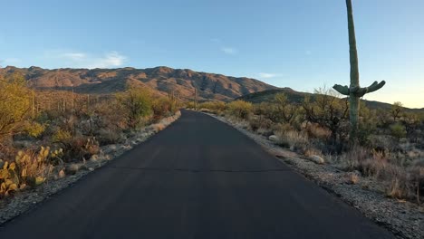 Punto-De-Vista-Mientras-Conduce-Por-El-Bosque-De-Saguaro-En-El-Parque-Nacional-De-Saguaro-En-El-Desierto-De-Sonora-Al-Atardecer