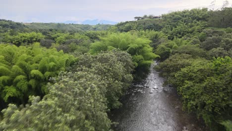 Rivers,-trees,-animals-and-nature-of-Colombia