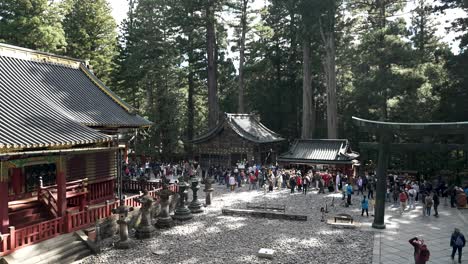Visitors-stroll-at-a-leisurely-pace-through-Nikko-Tosho-gu-in-Japan,-where-an-elaborately-decorated-shrine-complex-encompasses-more-than-a-dozen-structures-nestled-within-a-scenic-forest-backdrop