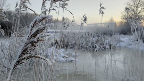 Wunderschöne-Neblige-Winterlandschaft,-Nebel,-Der-Sich-Entlang-Des-Wassers-Bewegt,-Verträumte-Stimmung