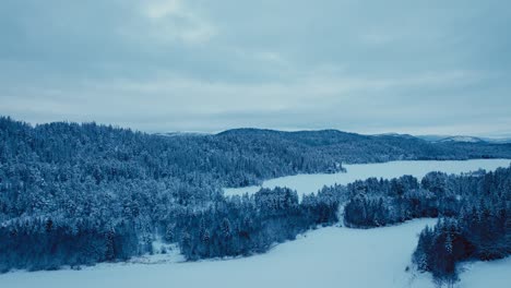 Fliegen-Sie-Im-Winter-über-Den-Wald-In-Gefrorener-Landschaft