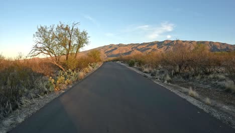 Point-of-view-while-driving-towards-the-Rincon-Mountains-in-the-Saguaro-National-Park-in-Sonoran-Desert-at-sunset
