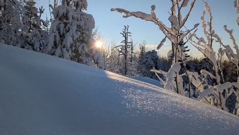 Magical-winter-wonderland,-winter-holiday-travel-destination,-Finland