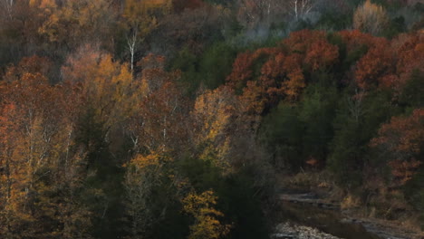 Creek-Through-Autumn-Trees-In-The-Forest-Near-Cedar-Flats-In-Banyard,-Arkansas,-USA