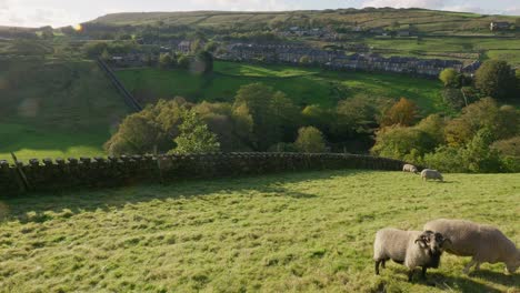 Typical-rural-Yorkshire-Landscape
