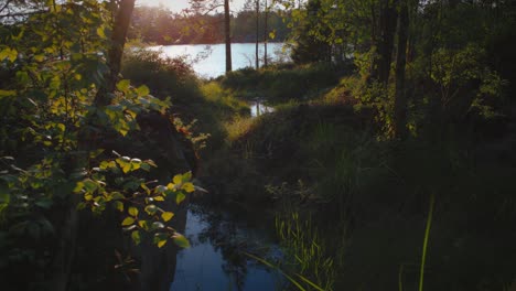 Small-creek-leads-into-lake-with-sunshine,-late-evening-in-Sweden
