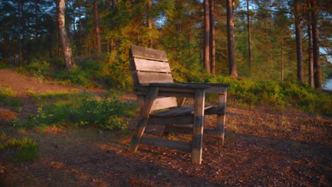 Wooden-chair-in-a-forest-in-Northern-Europe