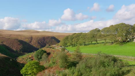 Typical-rural-Yorkshire-Landscape