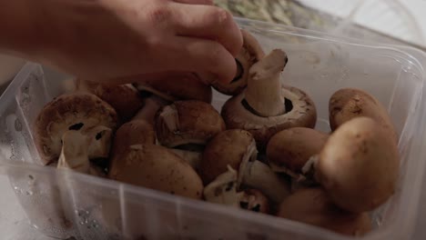 A-Lady's-Hand-is-Retrieving-Mushrooms-From-the-Food-Container---Close-Up