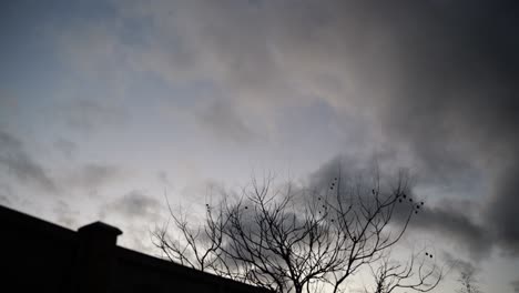 Zeitraffer-Schneller-Wolken-Bei-Sonnenuntergang-Mit-Baumsilhouette