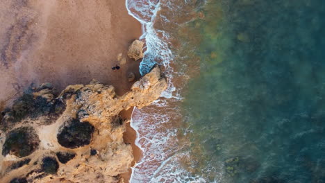 Top-view-aerial-of-people-walking-over-Portugal's-wild-coastline-showcases-rugged-formations-caressed-by-the-tranquil-ocean-waves,-embracing-the-pristine-allure-of-nature-in-4K,-60fps