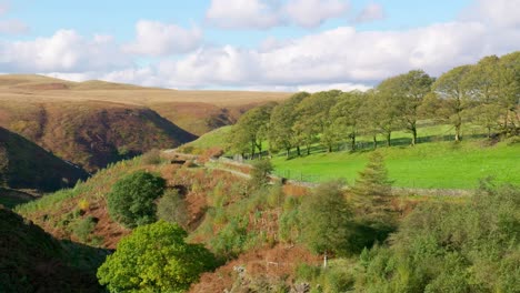 Typische-Ländliche-Yorkshire-Landschaft