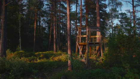 Jagdturm-In-Einem-Schwedischen-Wald