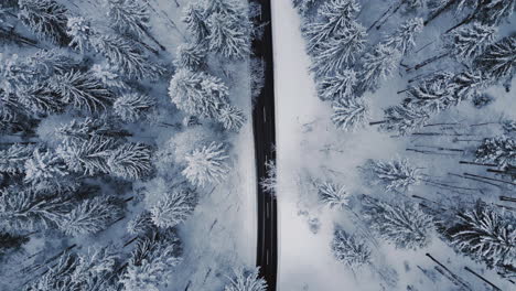 Eine-Fesselnde-Luftaufnahme-Von-Oben-Fängt-Die-Ruhige-Schönheit-Eines-Winterwunderlandes-Mit-Einem-Schneebedeckten-Wald-Ein,-Durch-Den-Sich-Eine-Straße-Schlängelt