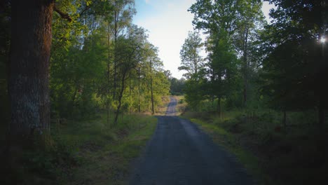 Gravel-road-leads-through-green-forest-during-summer-in-Sweden