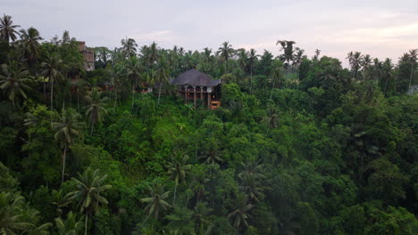 Wooden-buildings,-Ubud-jungle-nestled-seamlessly-within-lush-tropical-surround