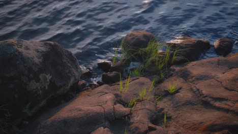 Rocks-by-the-edge-of-a-lake-with-green-vegetation