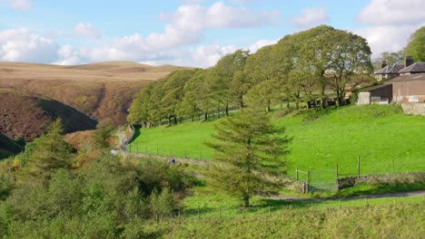 Typische-Ländliche-Yorkshire-Landschaft