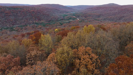 Goldenes-Herbstlaub-Im-Wald-In-Der-Nähe-Von-Cedar-Flats-In-Banyard,-Arkansas,-USA