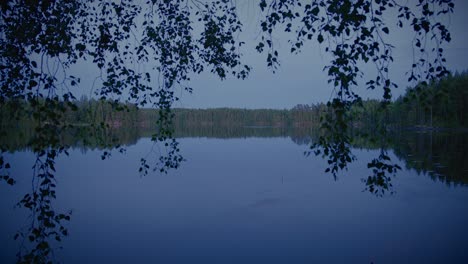 Leafy-branches-hanging-in-front-of-Lake-during-a-summer-evening-in-Sweden