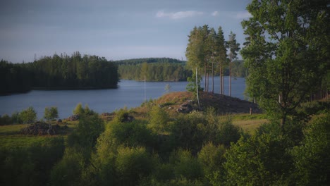 Swedish-lake-behind-forest-clearing-with-golden-sunlight