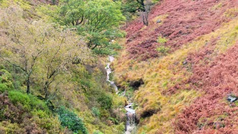 Slow-moving-moorland-stream-flowing-gently-on-the-Pennine-moors,-aerial-drone-video-with-small-waterfalls,river-and-heather-covered-valley