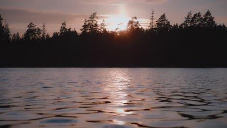Sun-reflection-in-calm-lake-with-pine-trees-in-Sweden