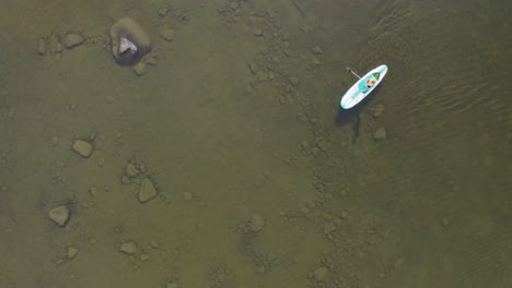 Drone-footage-of-a-woman-on-a-SUP-board-on-a-lake-during-summer