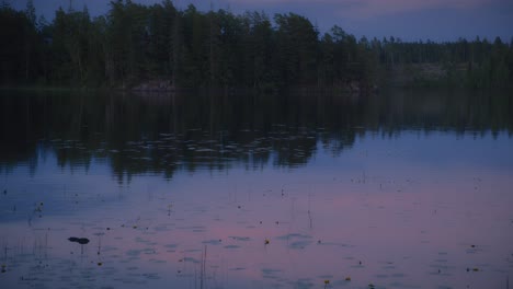 Lake-reflection-of-pine-forest-in-Sweden-during-pink-sunset