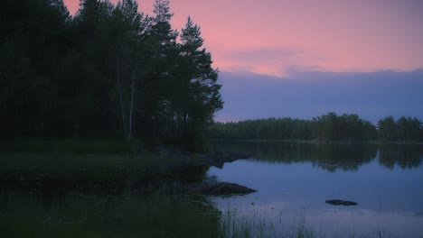 Green-pine-forest-on-the-edge-of-a-lake-in-Sweden-on-a-summer-evening