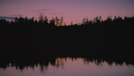 Rosafarbener-Sonnenuntergang-Und-Dunkle-Waldreflexion-Im-Schwedischen-See