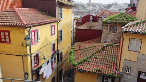 Antiguas-Casas-Tradicionales-Portuguesas-Con-Musgo-Creciendo-En-La-Azotea,-Porto