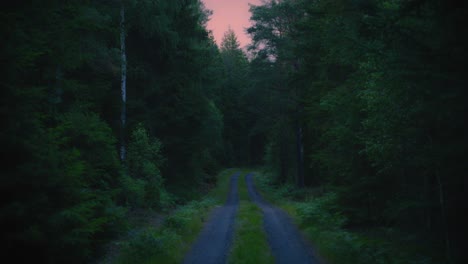 Gravel-road-leading-through-dense-Swedish-forest-on-a-summer-evening
