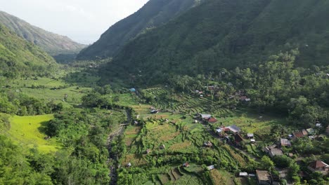 Drone-flying-down-a-mountain-valley-with-lush-green-jungle-and-rice-terraces-below