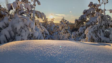 Hermoso-Paisaje-De-Bosque-Invernal,-Invierno-En-Finlandia