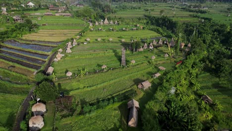 Drone-flyover-a-sustainable-holiday-resort-in-the-middle-of-rice-terrace-farm-land