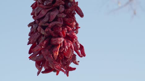 Chili-peppers-hanging-to-dry-in-downtown-Santa-Fe,-New-Mexico-with-stable-video-shot-close-up