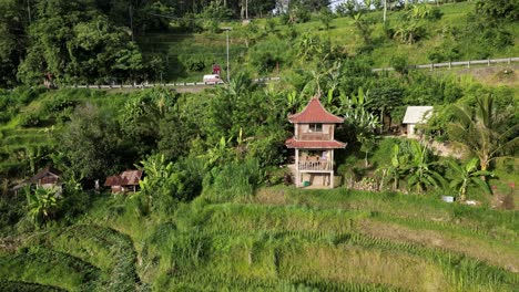 Drone-orbit-around-a-traditional-Asian-house-on-the-edge-of-a-rice-farm