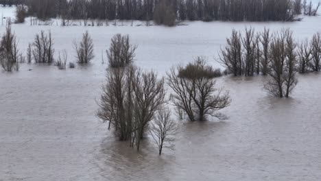Vista-Por-Drones-De-La-Inundación-En-El-Río-Waal,-Gorinchem,-Países-Bajos
