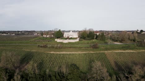 Chateau-and-vineyards,-Bayon-sur-Gironde,-France---aerial