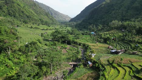 Drone-flying-down-a-mountain-valley-with-lush-green-jungle-and-rice-terraces