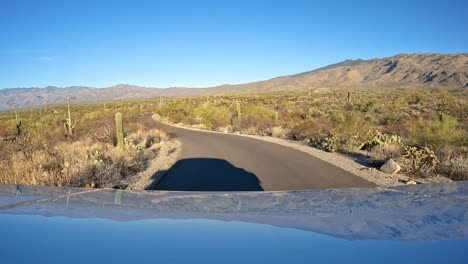 Point-of-view---driving-thru-Saguaro-Forest-in-Saguaro-National-Park-in-Arizona