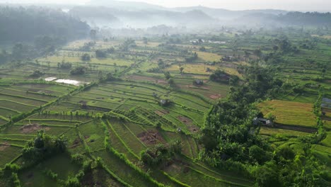 Drone-flying-over-rice-terraces-with-smoke-in-the-far-distance