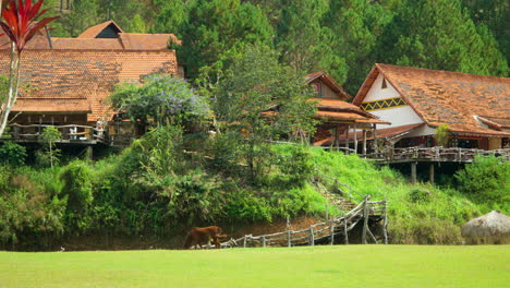 Cu-Lan-Old-Village-Traditional-French-Style-Houses-with-Orange-Tile-Roofs-in-Da-Lat,-Vietnam,-Tourists-Take-Pictures-of-Folk-Architecture