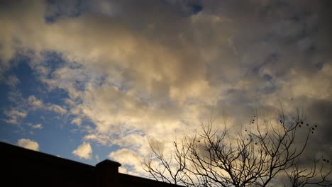 Slow-moving-clouds-on-evening-Cloudscape-with-Bare-Tree-Branches