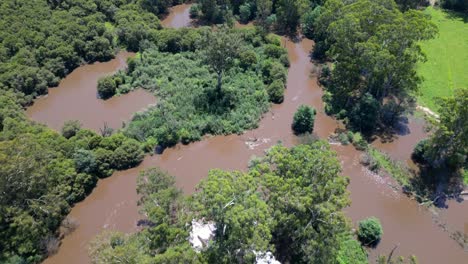 Drone-top-down-of-muddy-flood-waters,-river-expanded-to-engulf-trees-in-countryside