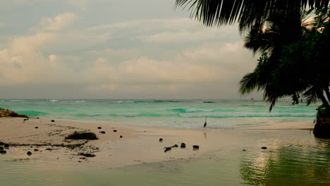 Weitwinkelaufnahme-Eines-Tropischen-Strandes-Mit-Verträumter-Wolkenlandschaft-Bei-Sonnenuntergang