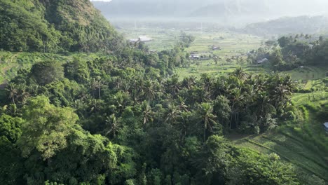 Drone-flying-down-a-green-valley-with-jungle-and-and-rice-terraces